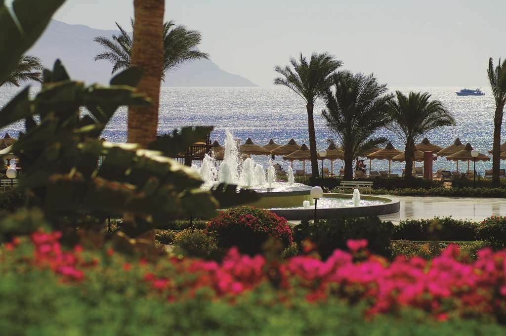 Baron Resort Sharm El Sheikh (Adults Only) Ristorante foto